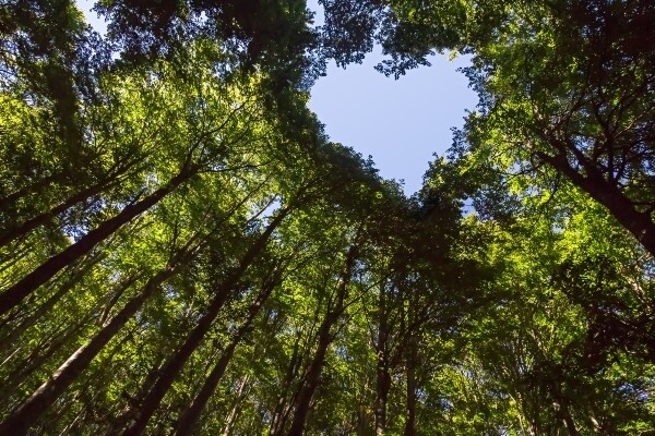 Connect With Nature