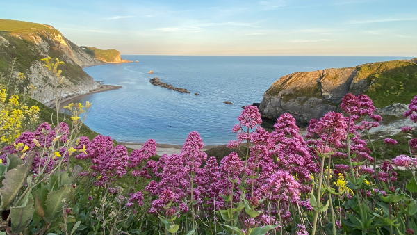 purbeck coast line